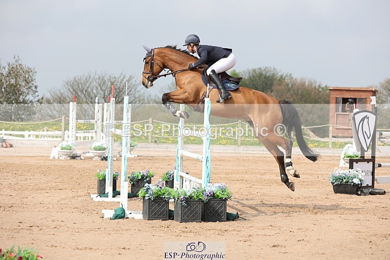 250424-105426-03290 - Cls 33 Young Horse 7yr old