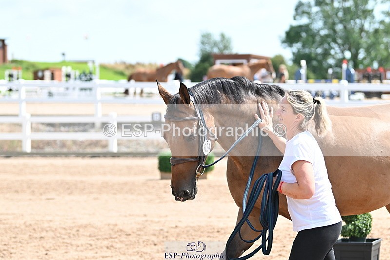 240717A-150455-02524 - Trot Up 3pm to 4pm