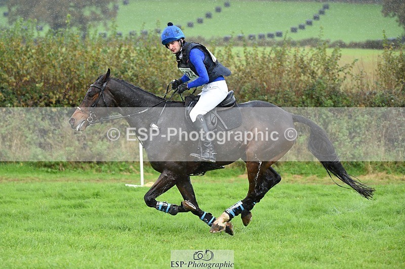 231022-132910-28462 - 324-HAZZLE.DAZZLE-Henry.Hobby-XC
