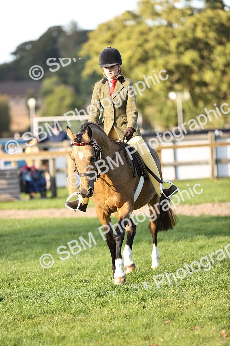 SBM_29585 - S7 - Novice & Newcomers Ridden Pony