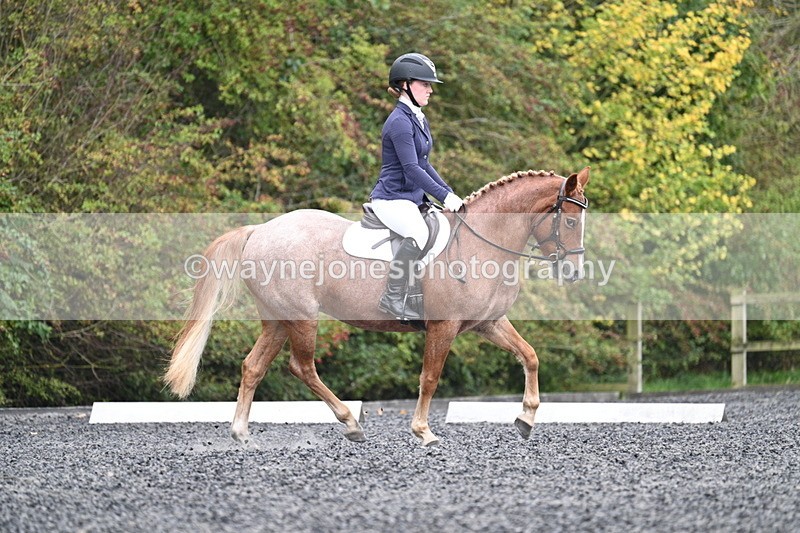 WJ7_3318 - Time 09:54 to 10:54