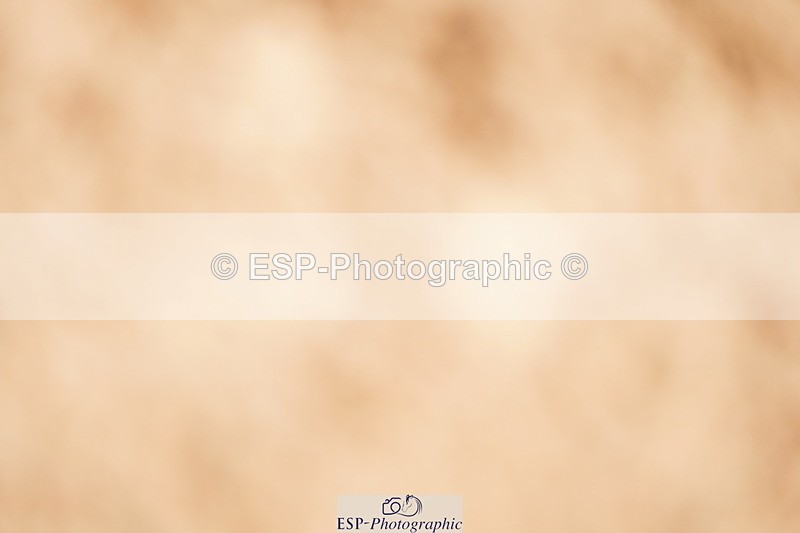 240524A-110512-02999 - Cls 14 Newcomers