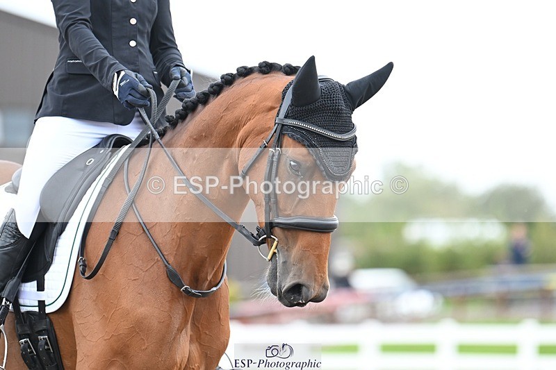 250907-121238-08257 - 066-Alice.KneenSpringtime.Marvel