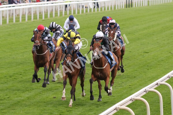 yr10062022r7-18 - Race 7 5.10pm Andy Thornton Hospitality Furniture Stakes