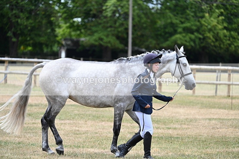 WJ7_1873 - Class 4a Prettiest Mare 14.2hh and over hand