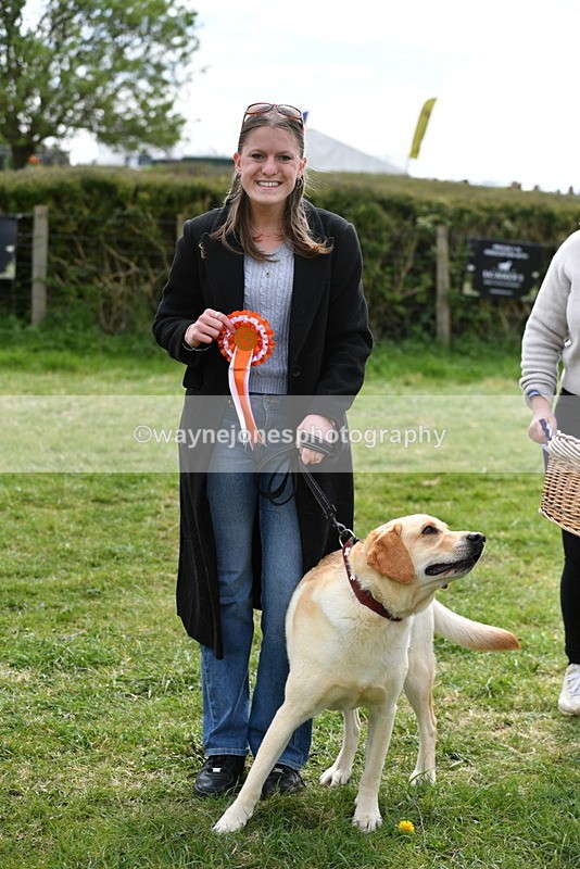 WJ5_9892 - Class 3 Most Handsome Dog