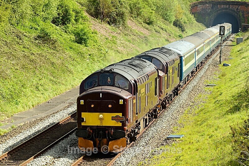 4th May 2024 - Whiteball, Somerset