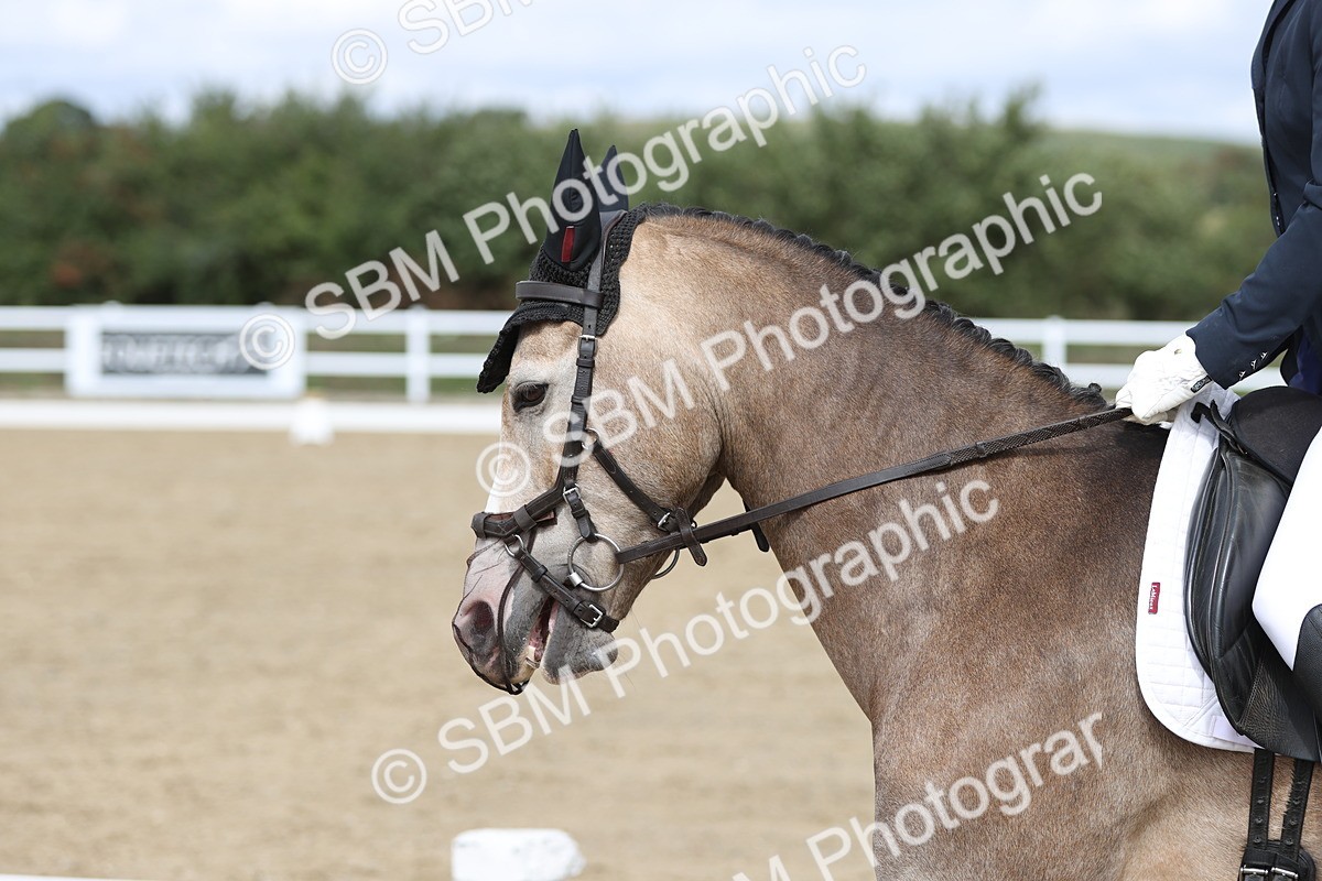 SBM_003709 - Class 6 - Prelim 3 Champs
