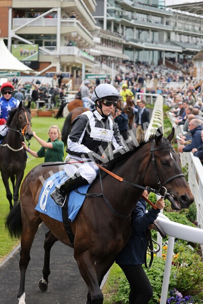 yr13052022r1-11 - Race 1 1.50pm Knights the new name for Langleys British EBF Marygate Fillies' Stakes
