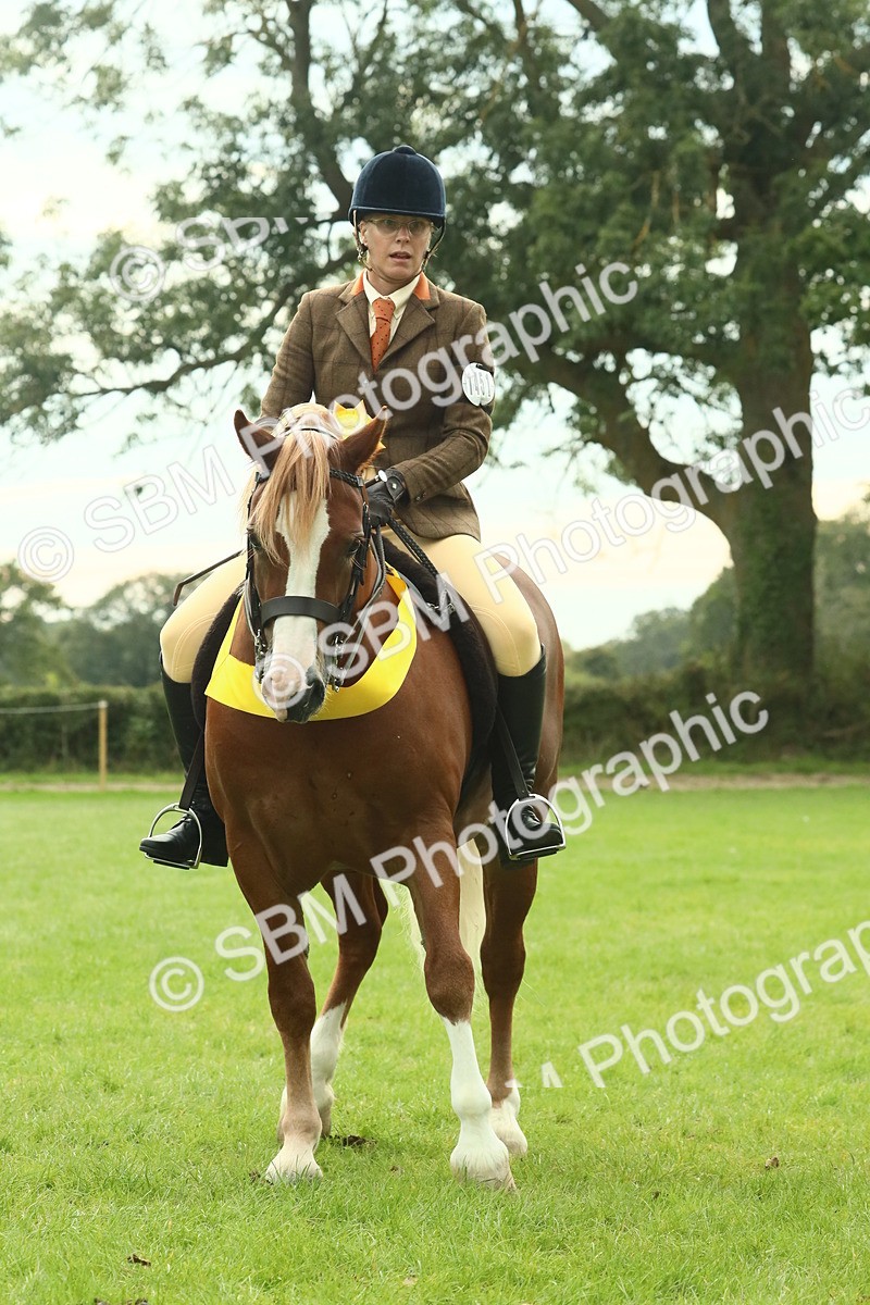 SBM_75047 - Ridden Pony Supreme Championship