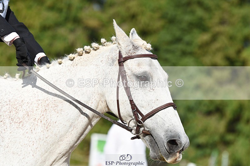 230824-165942-06231 - Round 1 Assisted 16.20 to End