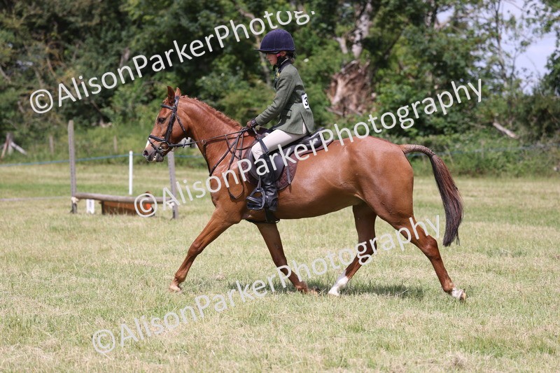 20260614-1871 - Class 21 - Novice Working Hunter Pony