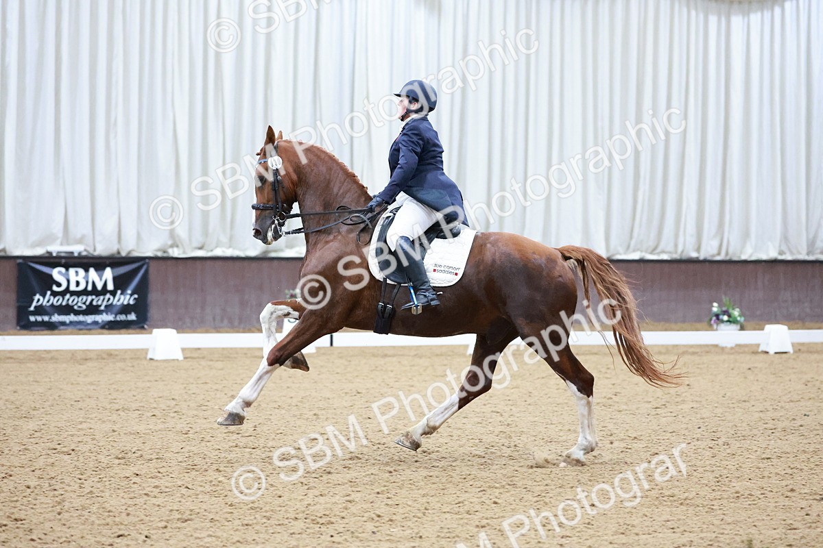 SBM_021257 - Class 14 - FEI Grand Prix - 17.40-18.34