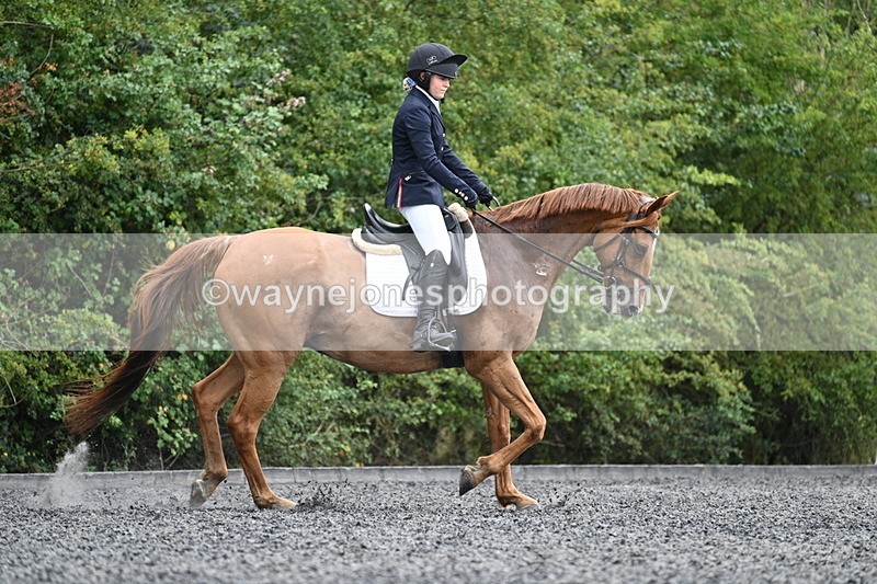 WJ7_7101 - Time 12:53 to 13:18