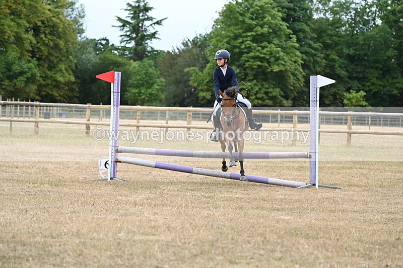 WJ6_0356 - Class 13 Novice Jumping 60cm
