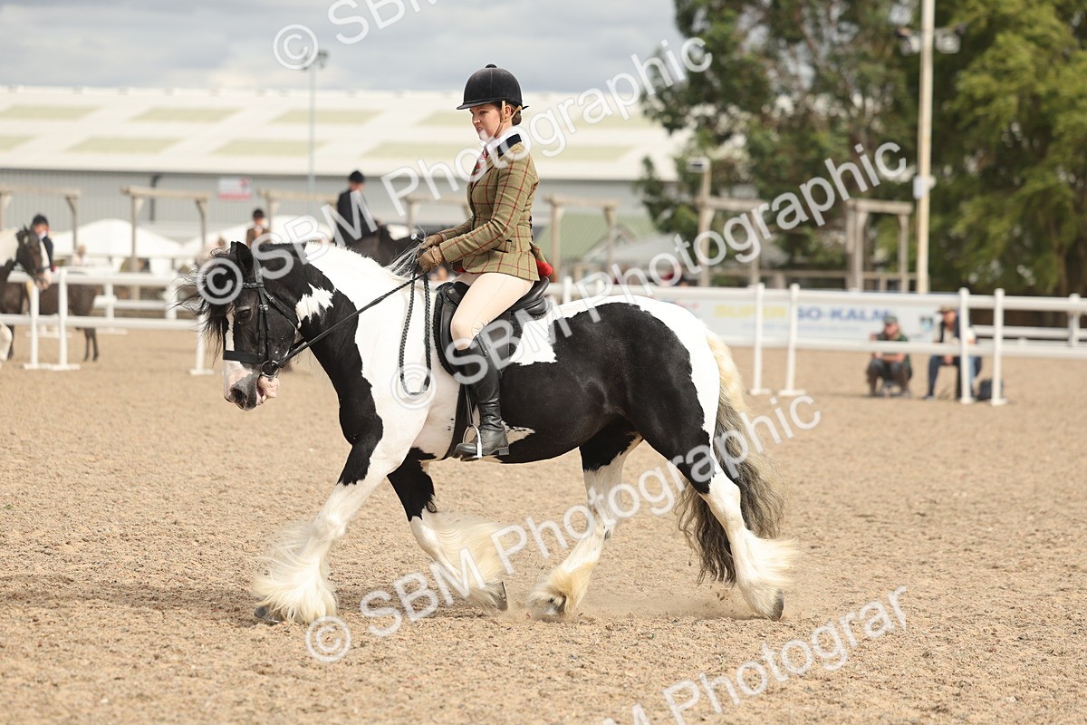 SBM_18006 - Class 314 - Family Horse Pony