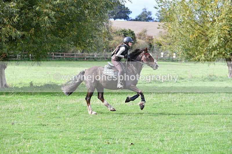 WJ5_0537 - Time 13:59 to 14:28