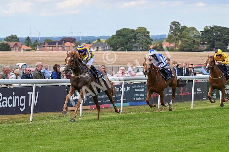 240625-Race 7-Azuinthejungle-9344 - Race 7