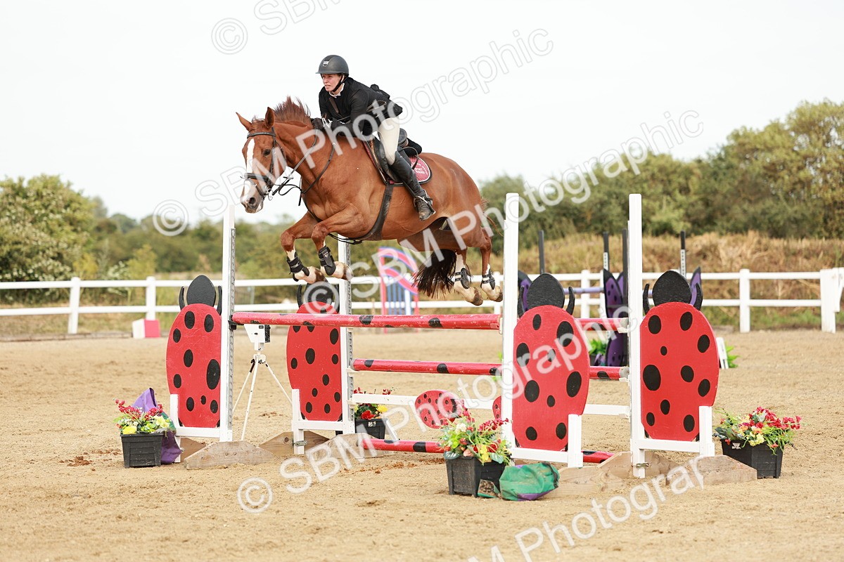 SBM_008287 - Class 4 - Senior Foxhunter - 1.20m Open