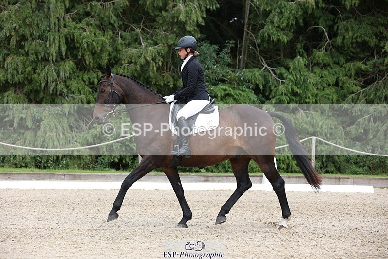 230812-153135-05152 - Cls 5 Novice Bronze 15.00 to End