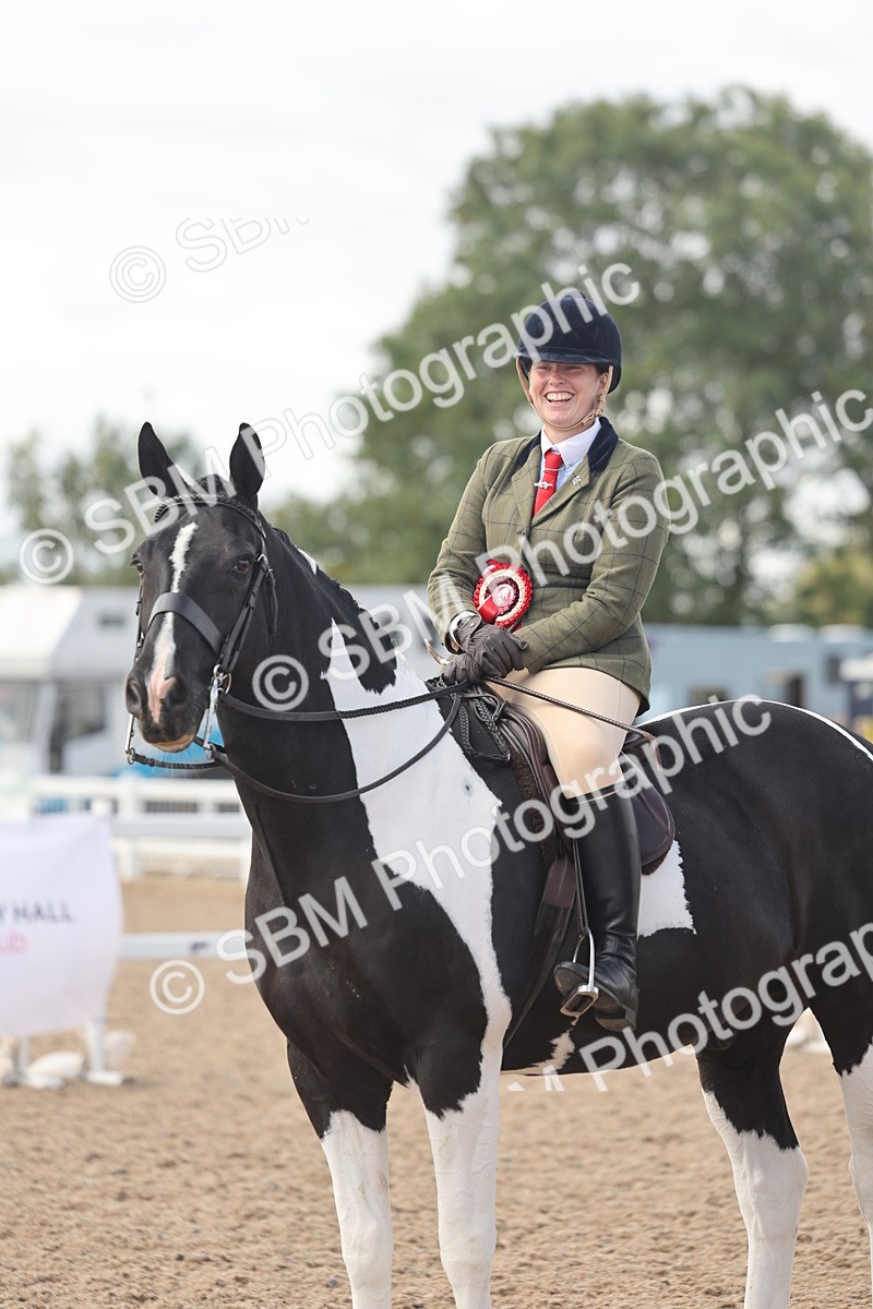 SBM_14847 - Class 308 - Ridden Coloured Horse