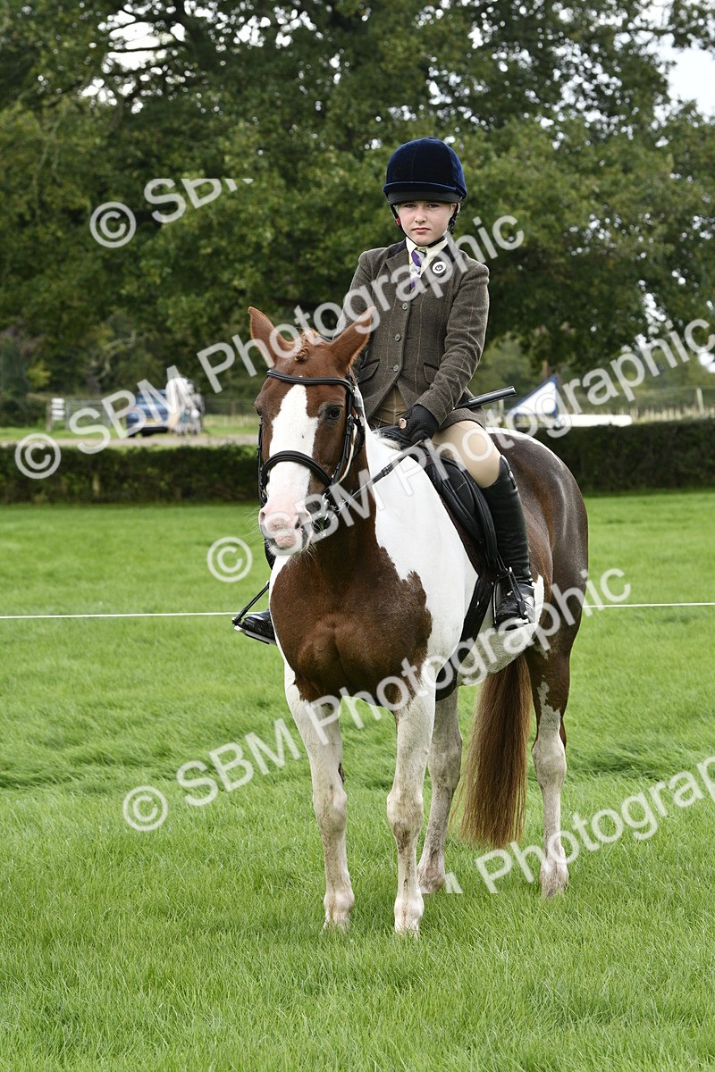 SBM_38262 - S31 - Novice & Newcomer Working Hunter Pony