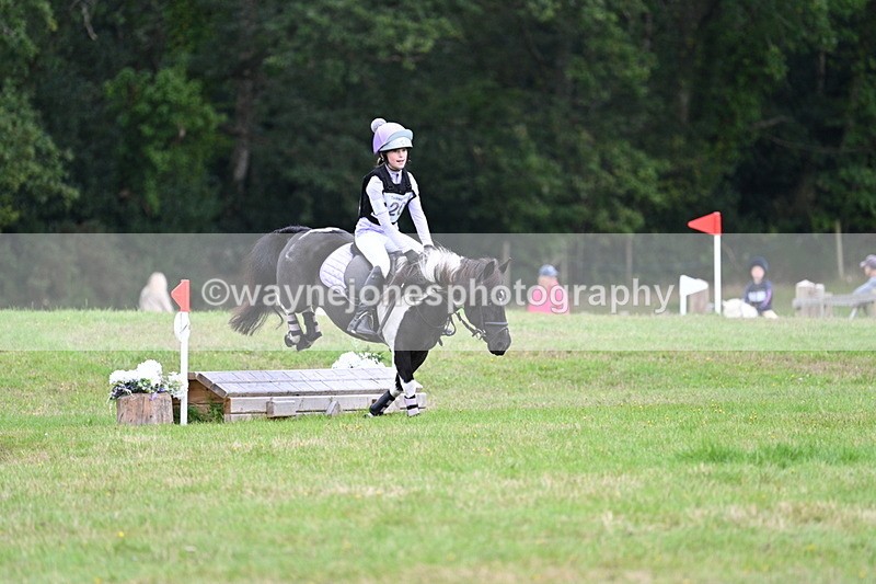 WJ7_7596 - 40cm Time 10:27 to 10:47