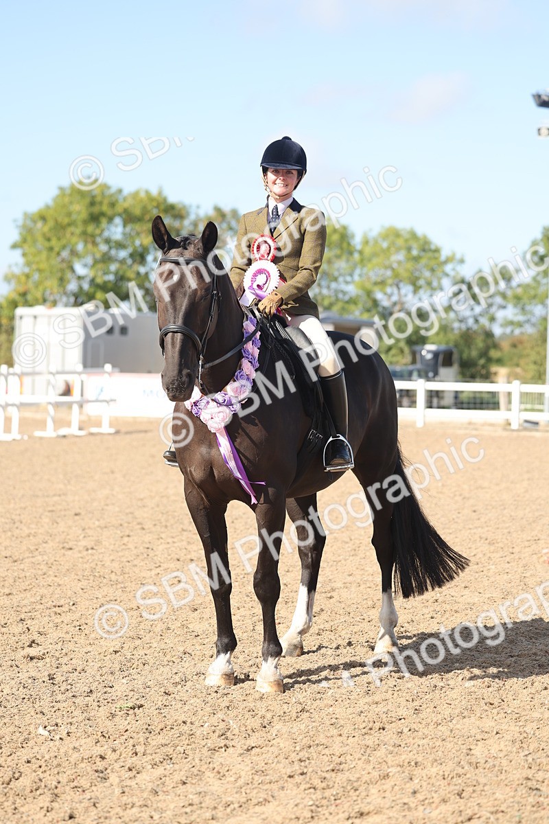 SBM_22686 - Class 805 - Ridden Veteran Horse