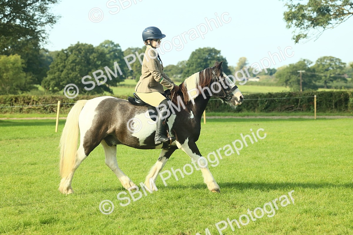 SBM_59819 - S38 - Starters Ridden Showing