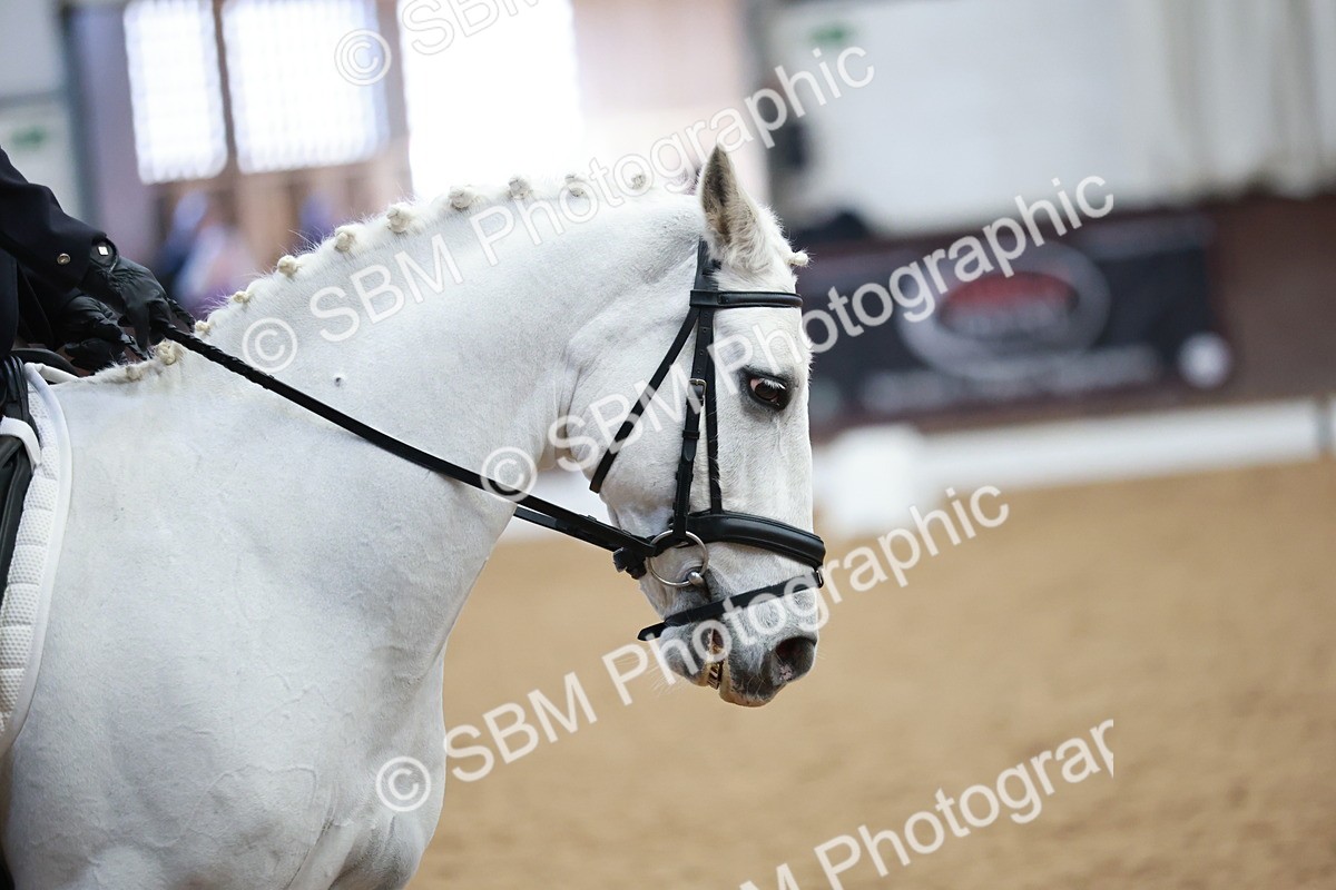 SBM_004037 - Class 2 - Novice 2020