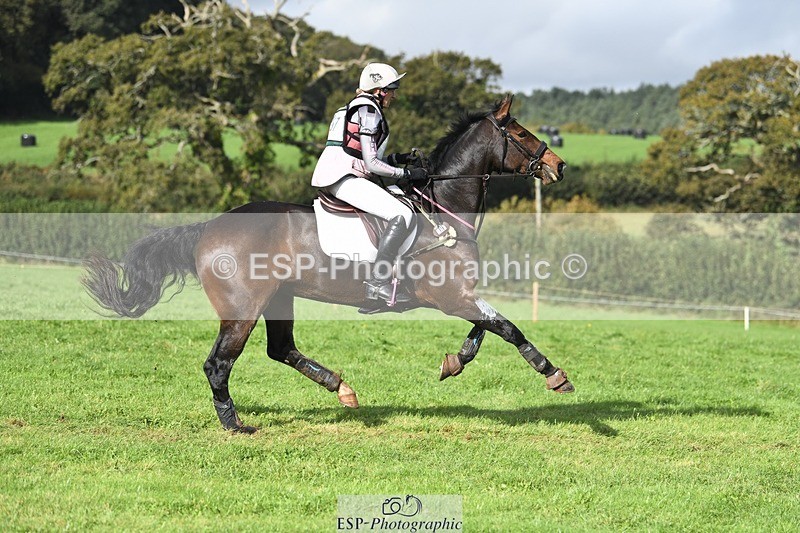 231020-115726-07272 - 057-OVERTON.TILANA'S.GOLD-Claire.Deuten-XC