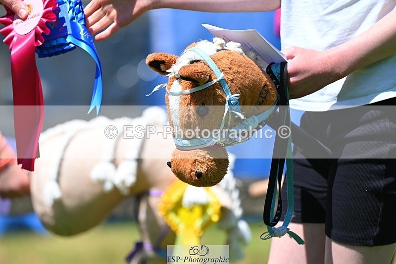 240525-120451-12737 - Candid and Saturday Hobby Horse