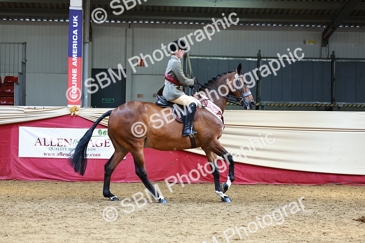 SBM_23210 - Class 905 - Supreme Final - Ridden Veteran