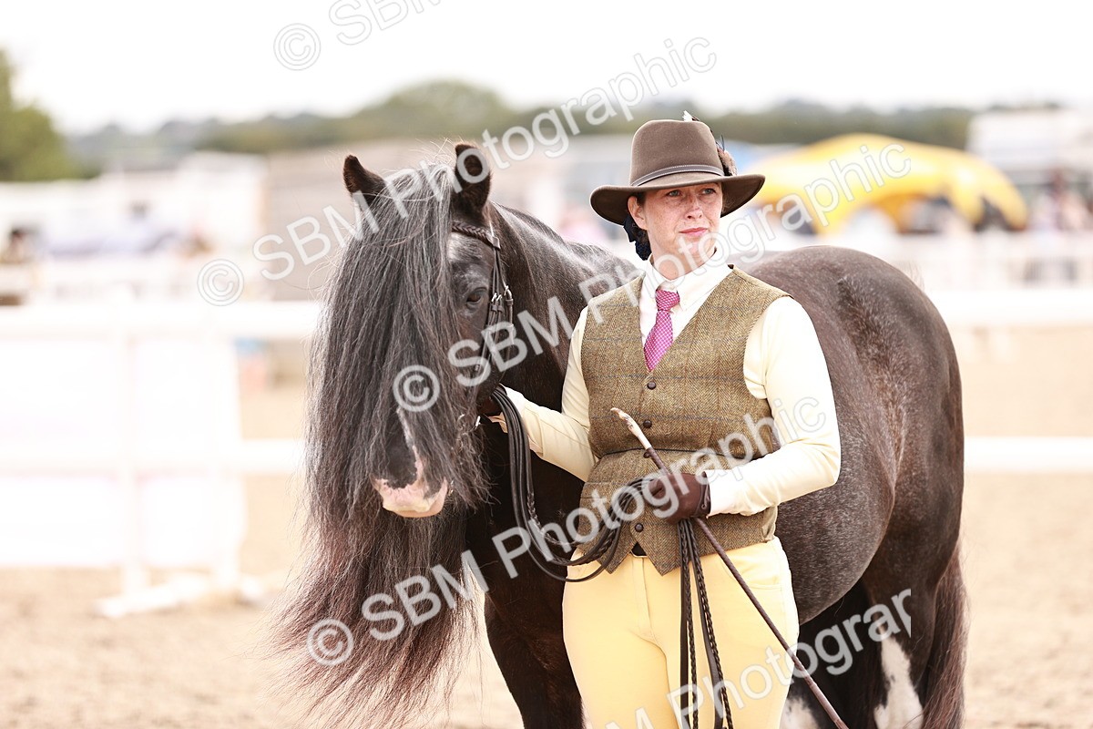 SBM_16360 - Class 413 - Best Condition - Adult