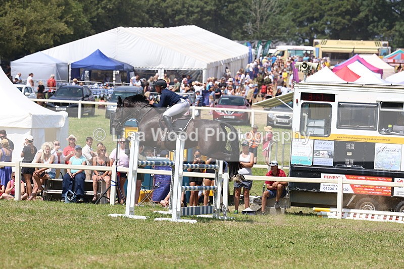 3E7A3384 - Class 10: Senior Foxhunter/1.20 open