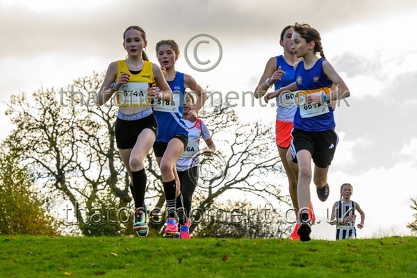 NatRel25-913138 - Young Female Set One