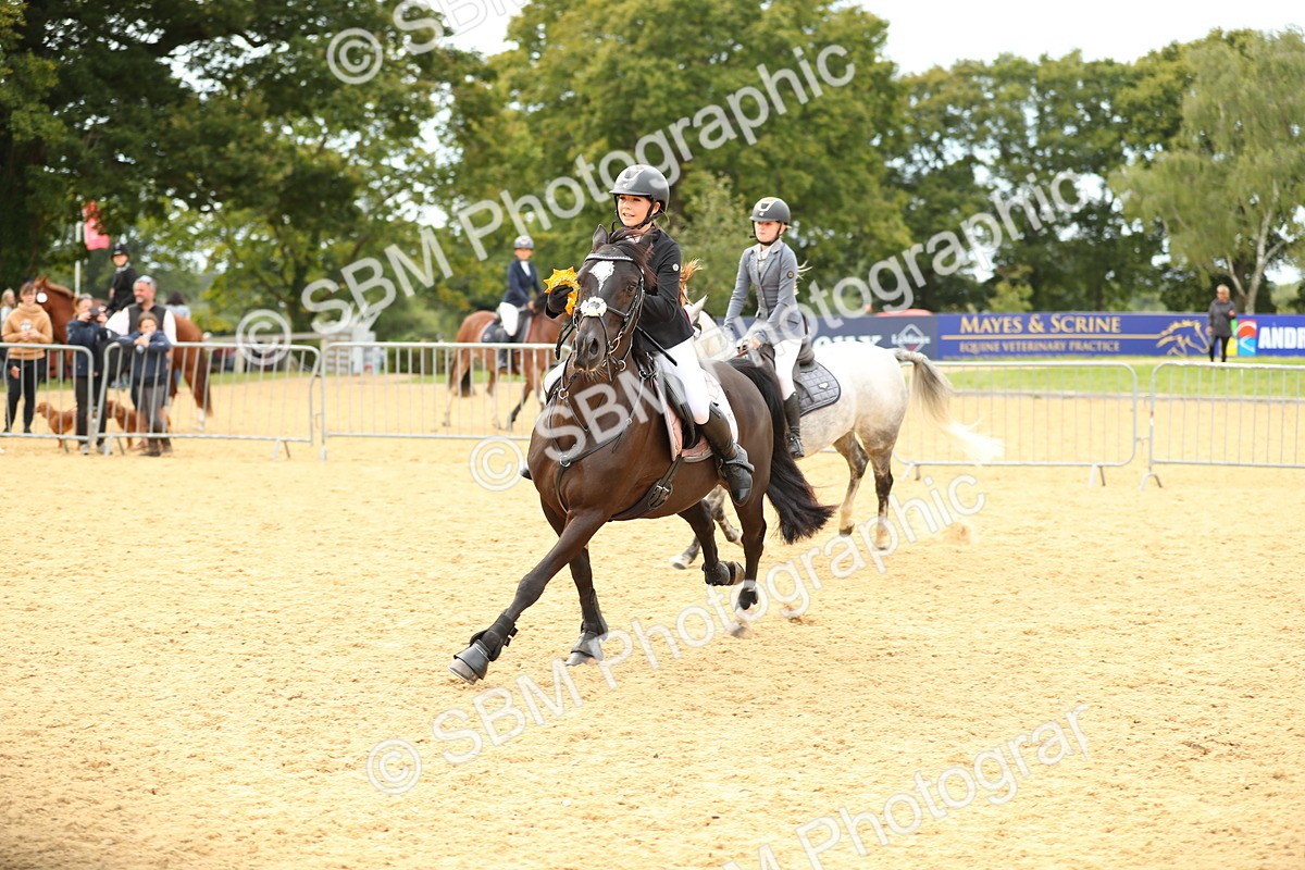SBM_71359 - J18 - Junior Pony 85cm Championship