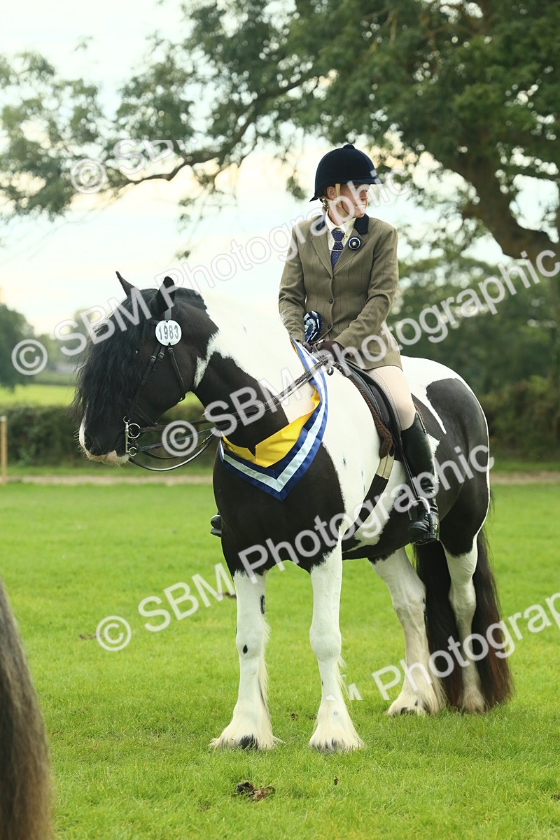 SBM_75255 - Super Supreme Championship