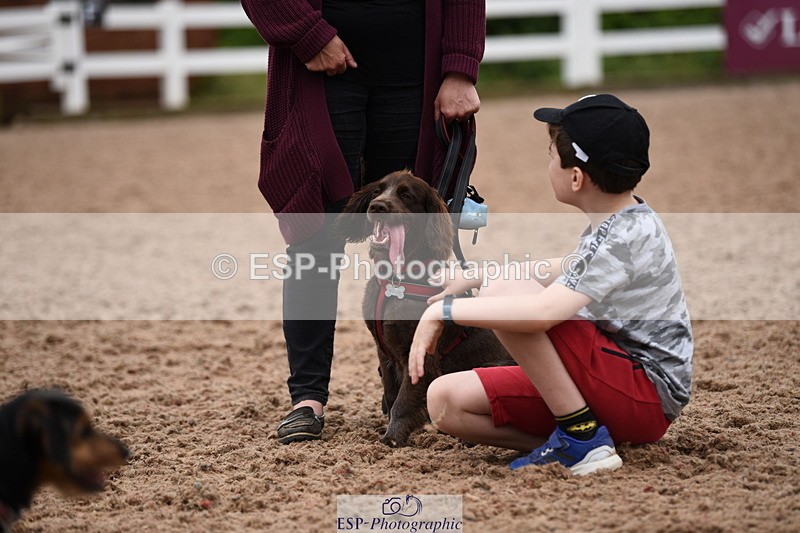 240518A-122434-01158 - Cls 4 Best Crossbred