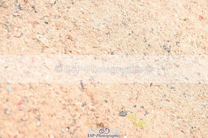 250914-132344-08728 - Cls 29+30 Newcomers and Fox