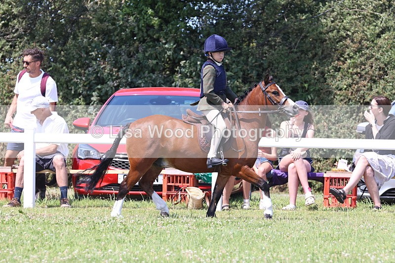 JPP_2332 - Class 20: Tiny Tots Working Hunter Pony
