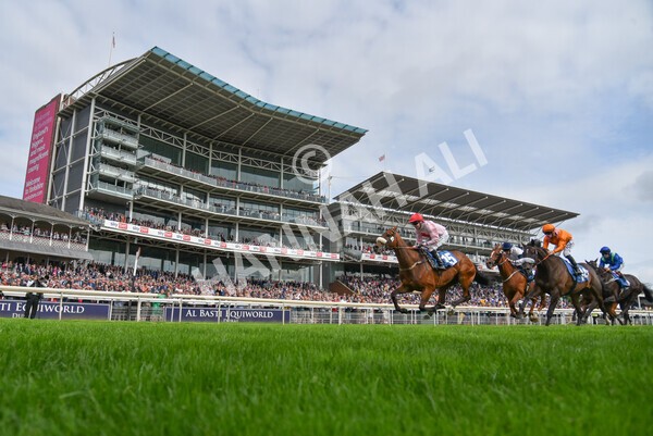 yr18082021r5-70 - Race 5 4.10pm Sky Bet Stakes