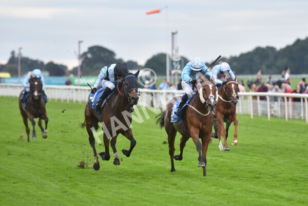 yr24092021r8-22 - Race 8 5.25pm William Hill Build Your Own Odds Apprentice Stakes
