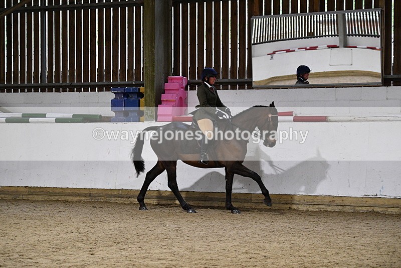 WJ5_8825 - Class 15 Ridden Show Horse
