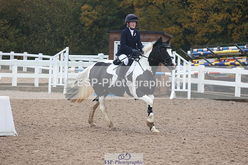 231112A-101756-03285 - Cls 17 Blue Chip Novice Winter Qualifier