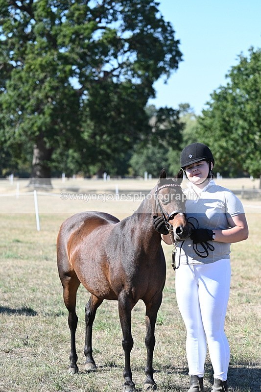 WJ7_2144 - Class 44 Child's Best Friend