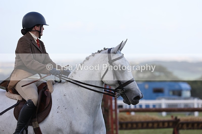 JPP_3631 - Class 24: Open Working Hunter