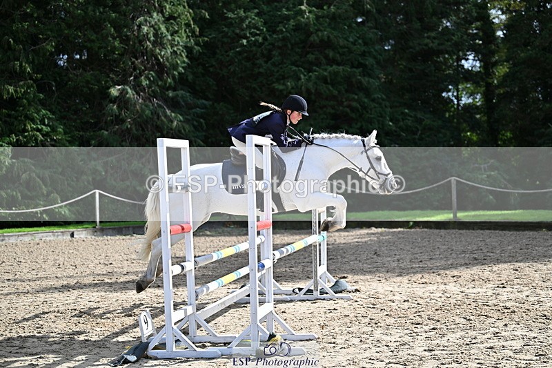 251005A-140303-04261 - Cls 09 Nov 80-85cm