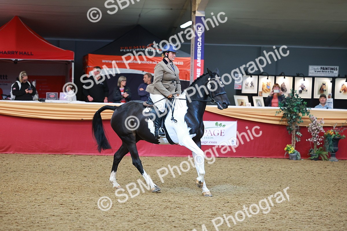 SBM_09758 - Class 102 - HOYS Veteran Qualifier - Ridden Veteran