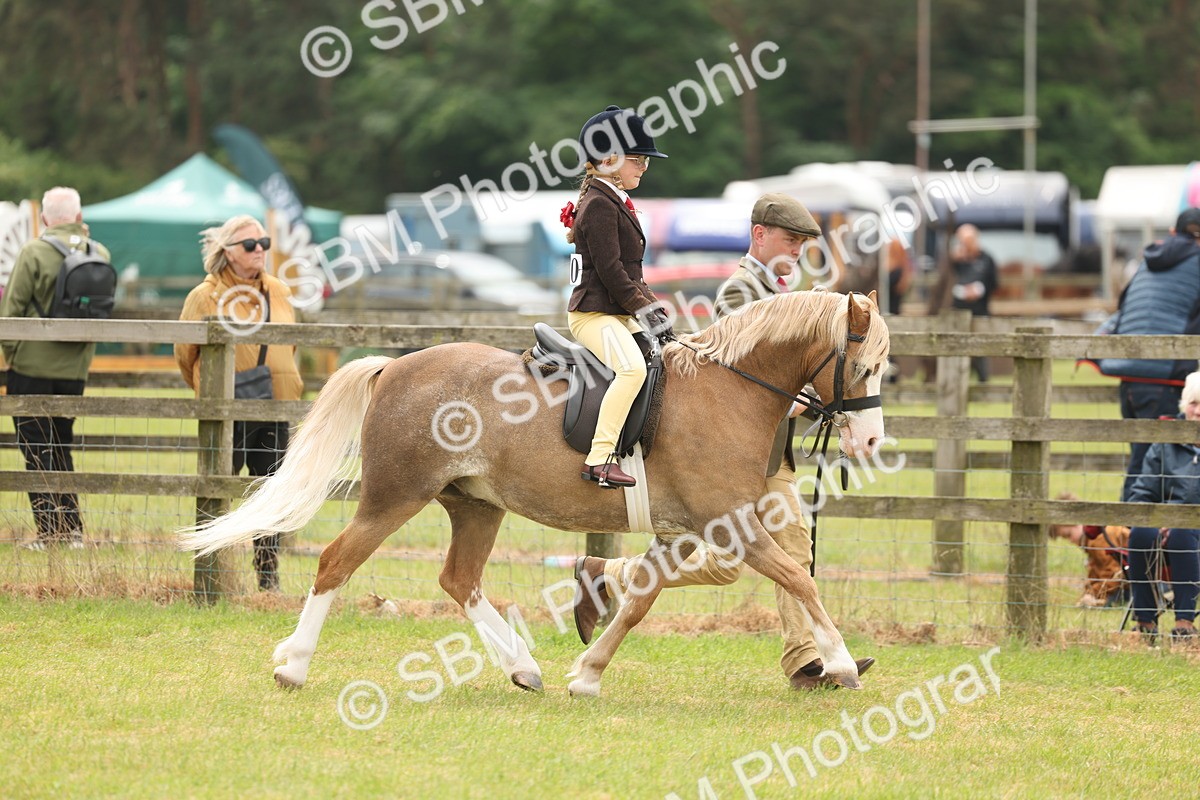 SBM_06645